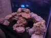 DSC00556.JPG