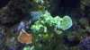 2013-01-07_16-04-00_743.jpg