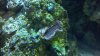 2013-01-07_16-05-19_551.jpg