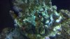 2013-01-07_16-06-06_72.jpg