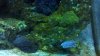 2013-01-07_16-04-06_529.jpg