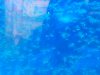 2013-01-08_20.05.46.jpg