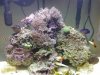 20130108_181603.jpg