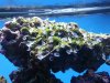 20130114_110051.jpg