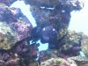 20130114_110105.jpg