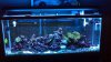 2013-01-15_21-57-40_314.jpg