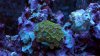 2013-01-15_21-58-34_376.jpg