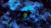 2013-01-15_21-58-43_126.jpg