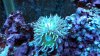 2013-01-15_21-58-50_896.jpg