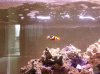 2013-01-16 15.19.06-1.jpg