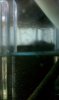 IMAG0385.jpg