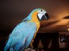 IMG_3781 (Small).JPG