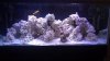 fishtank.jpg