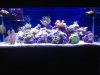 ImageUploadedByTapatalk1359677408.043696.jpg