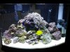 20130131_190424.jpg