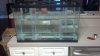IMG_20130131_172245_039.jpg