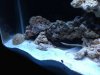 photo(91g).jpg