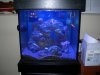 tank2 002.jpg
