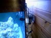 2013-02-16 12.55.44.jpg