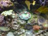 20130216_155650.jpg