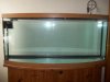 testtank 001.jpg