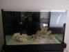 20130219_151653.jpg