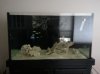 20130219_151656.jpg