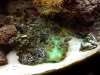 20130219_183336.jpg