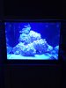 FTS Radion.jpg