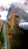 IMAG0487.jpg