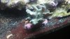 2013-02-23_13-20-42_25.jpg