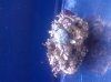 IMG_20130225_124413.jpg
