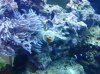 20130226_082924.jpg