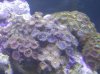 20130226_171542.jpg