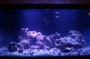 DSC07823_zps4db95b3c.jpg