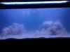 IMG_20130228_214525.jpg
