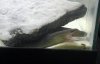IMAG0157-1-1.jpg