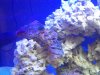DSCF7211_zps09442b99.jpg