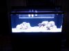IMG_20130301_174625.jpg