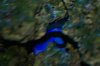 DSC03321.JPG