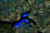 DSC03326.JPG