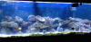 Screen shot 2013-03-06 at 5.50.26 PM.png