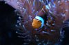 DSC03334.JPG