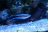 DSC03355.JPG