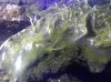 20130312_183502.jpg