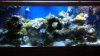2013-03-12_15-59-48_242.jpg