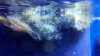 2013-03-12_16-01-02_762.jpg