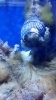 2013-03-12_16-01-38_693.jpg