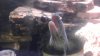 IMAG0411.jpg