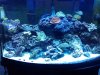 20130311_220210.jpg